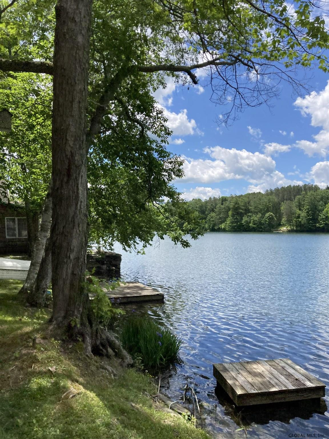 145 Summit Lake Road Summit, NY 12149 - Photo 4 of 17 Photo 4