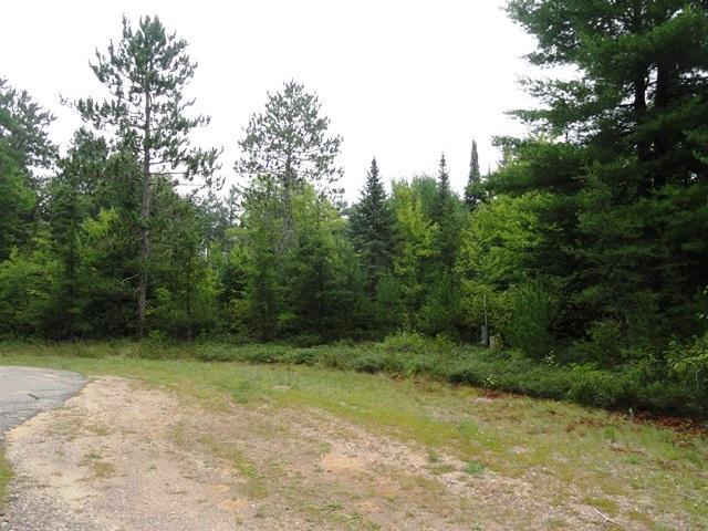 Lot 5 Elto Road Tomahawk, WI 54487 - Photo 5 of 5 Gallery Image 5