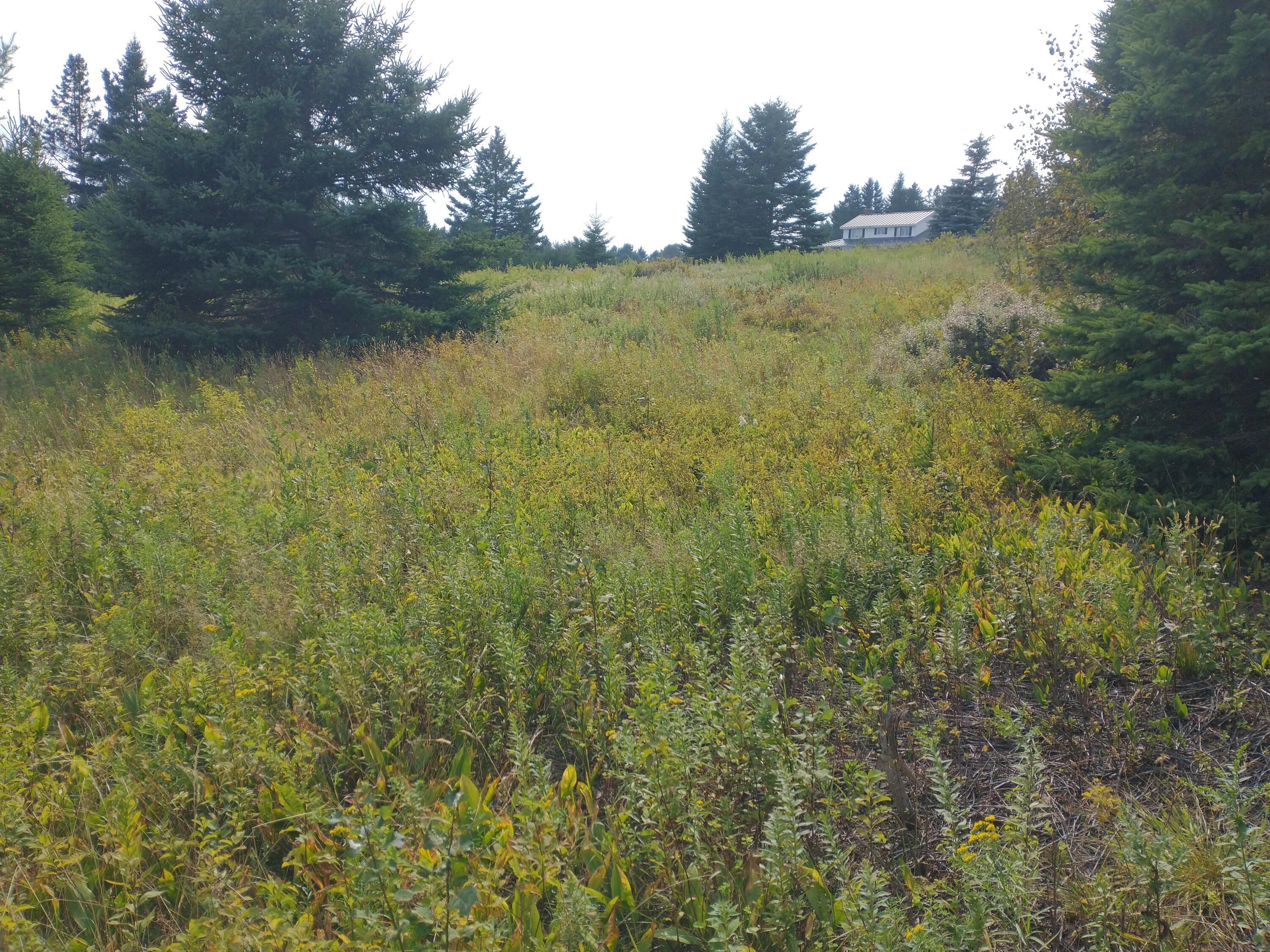 3 Country Club Road Rangeley, ME 04970 - Photo 9 of 15 Neighbor 2