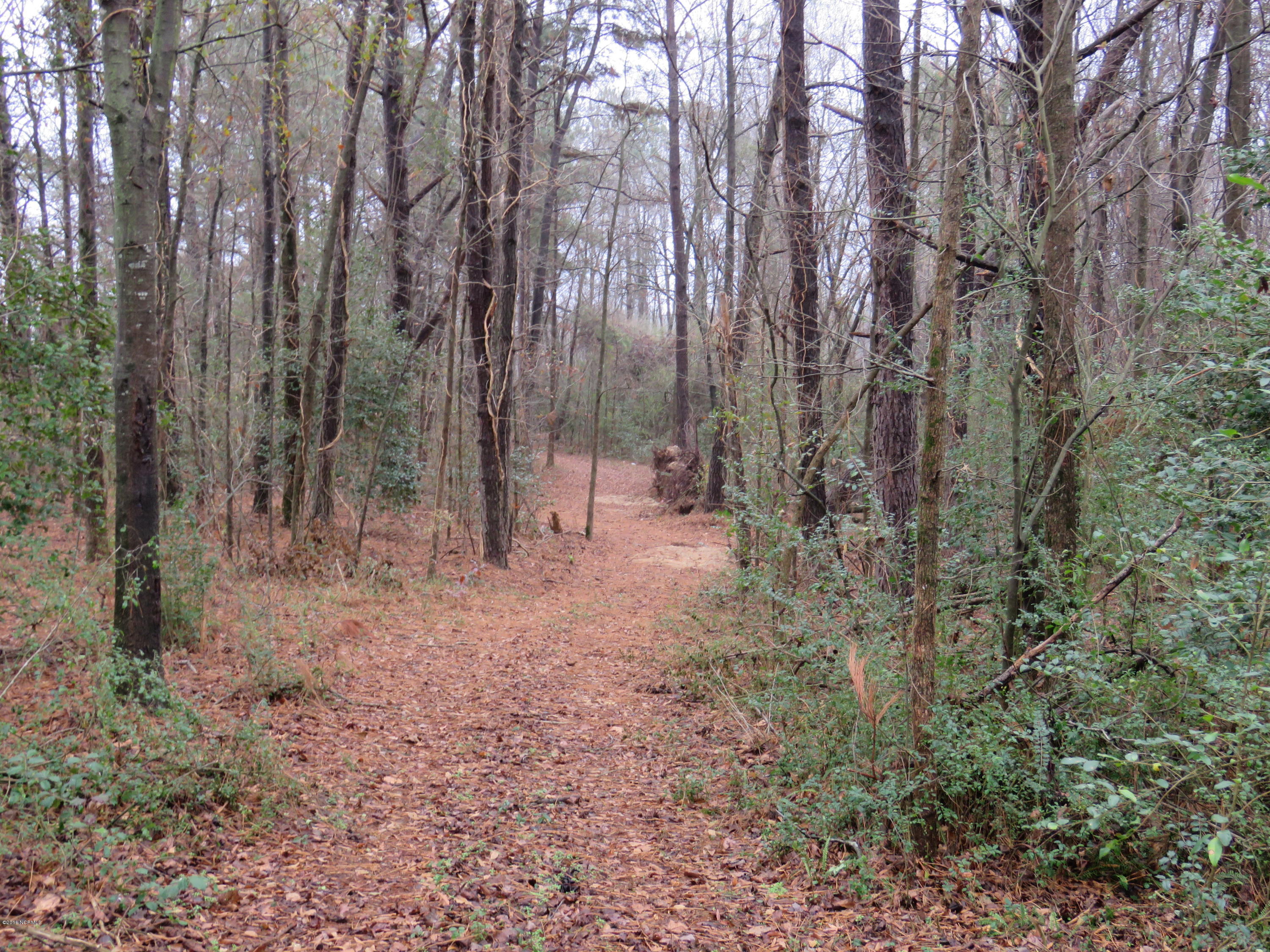 964 Beaverdam Road Clinton, NC 28328 - Photo 3 of 14 IMG_0012