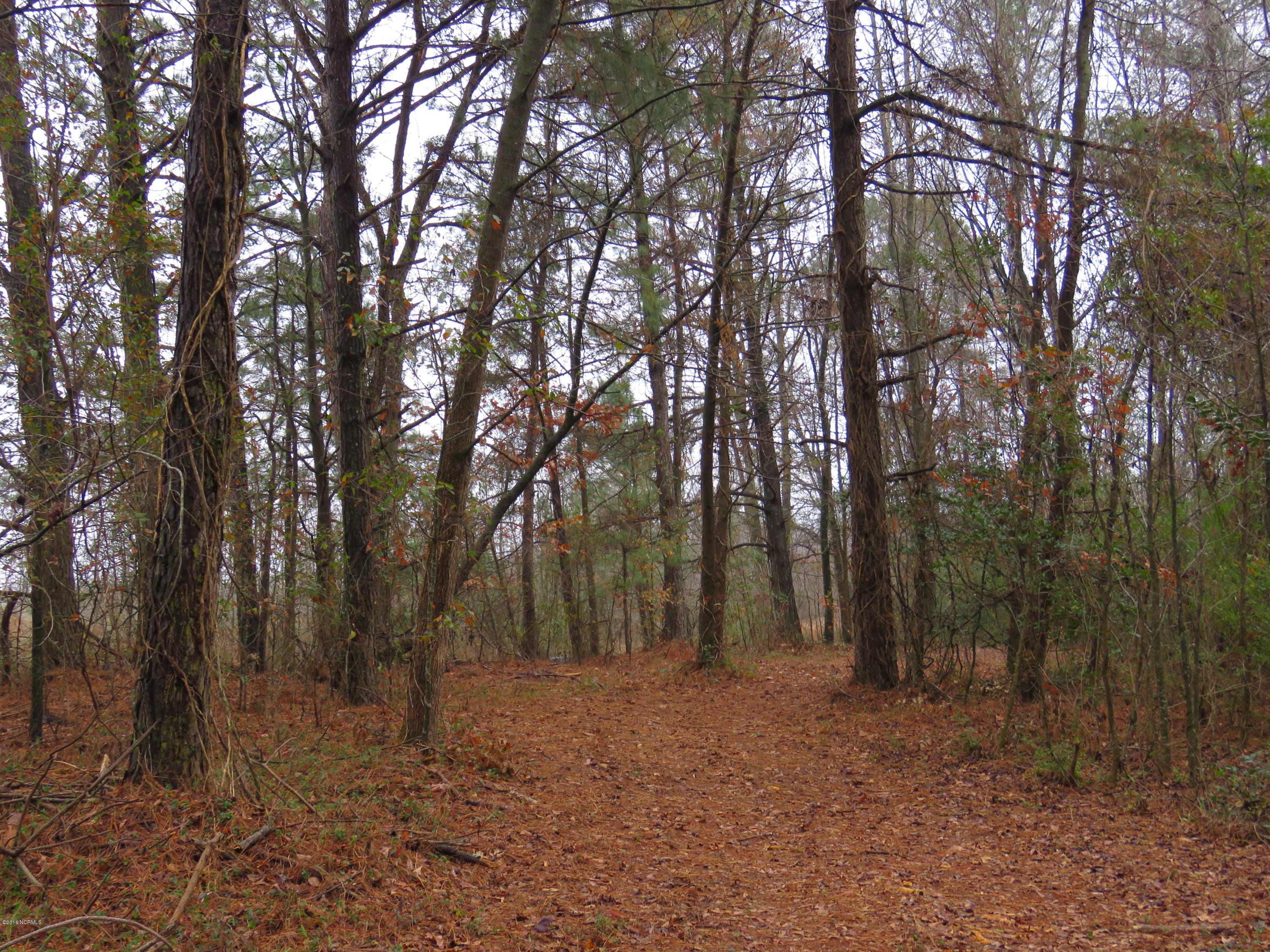 964 Beaverdam Road Clinton, NC 28328 - Photo 5 of 14 IMG_0014