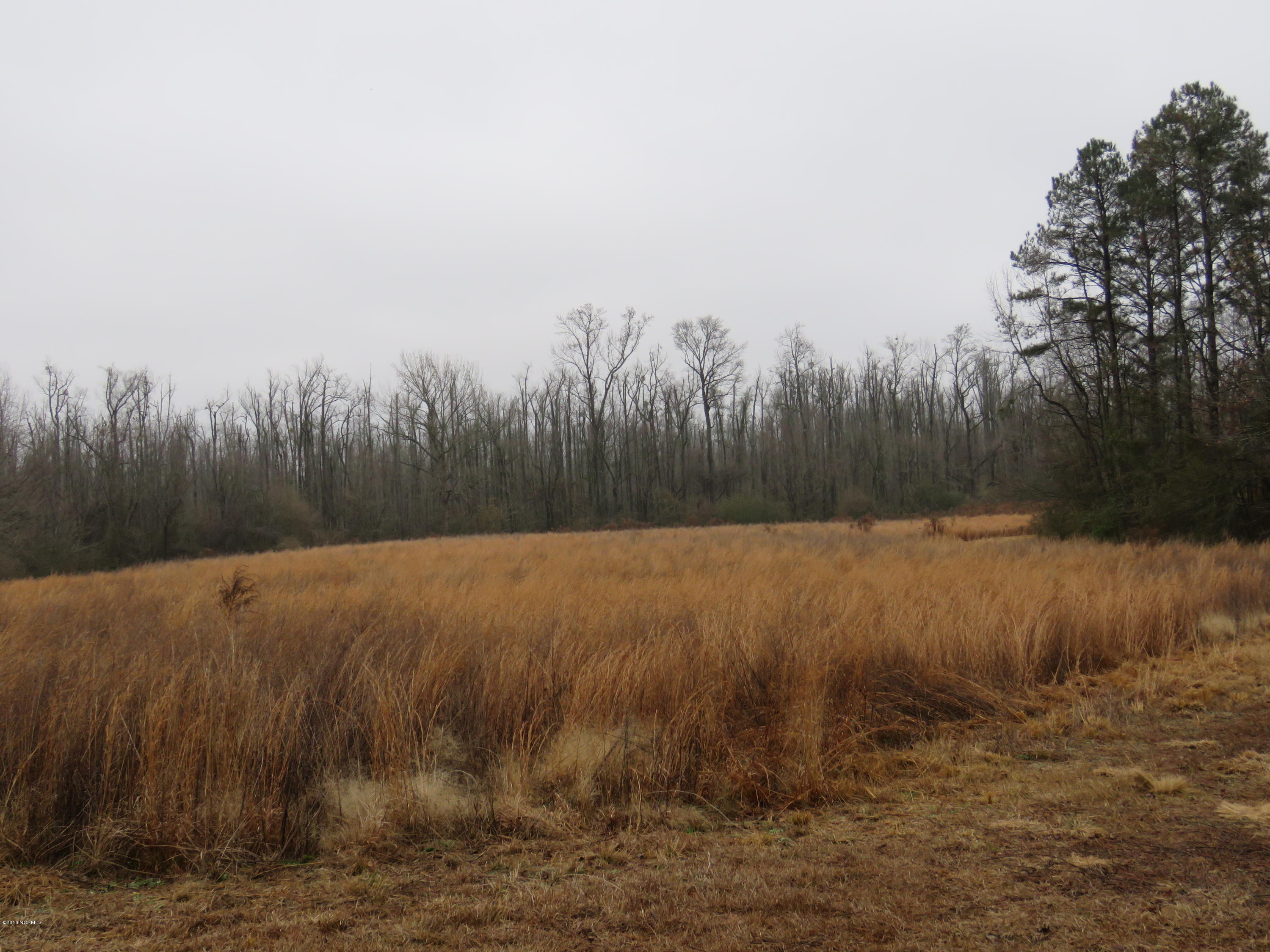 964 Beaverdam Road Clinton, NC 28328 - Photo 6 of 14 IMG_0015