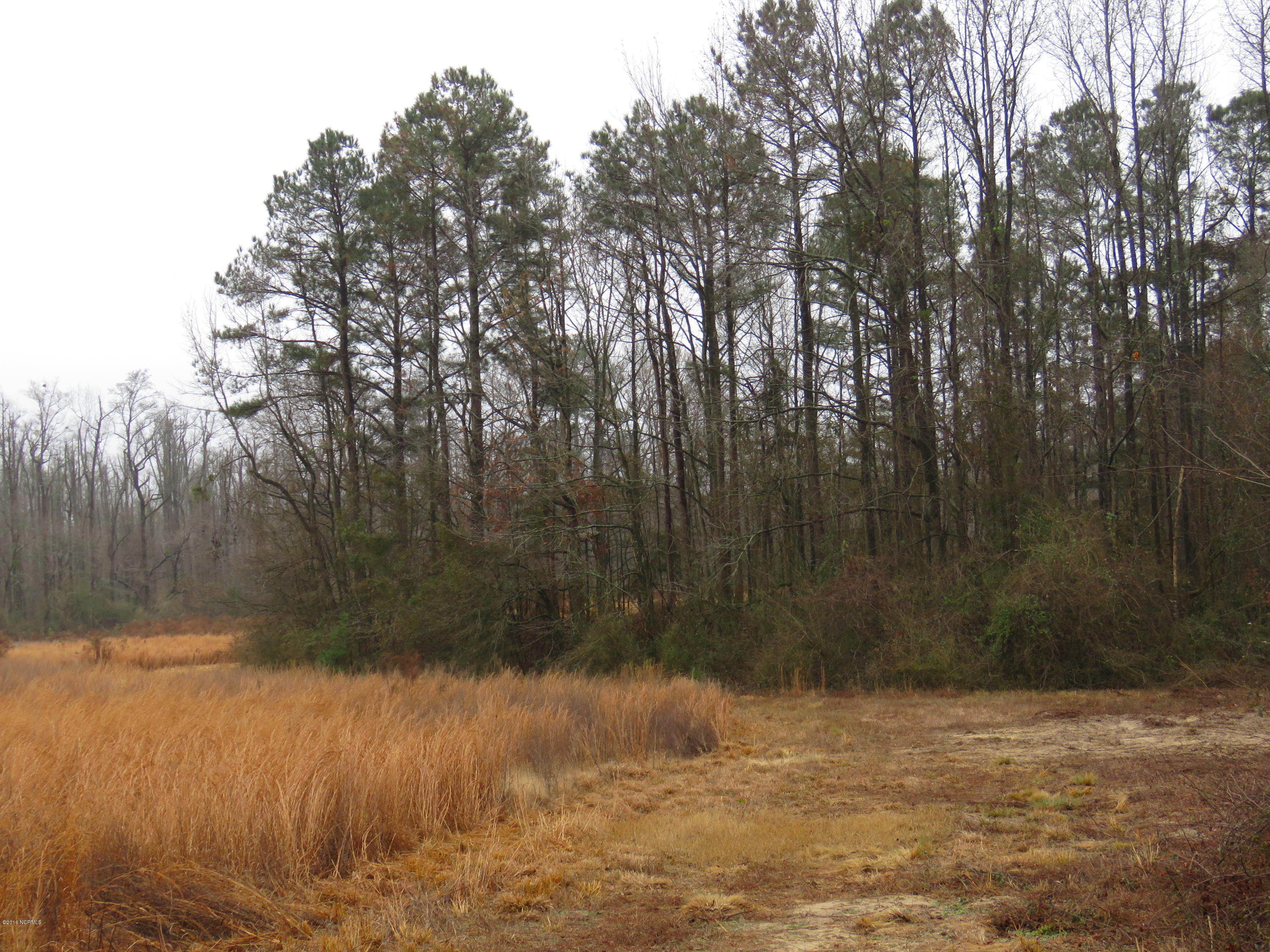 964 Beaverdam Road Clinton, NC 28328 - Photo 7 of 14 IMG_0016