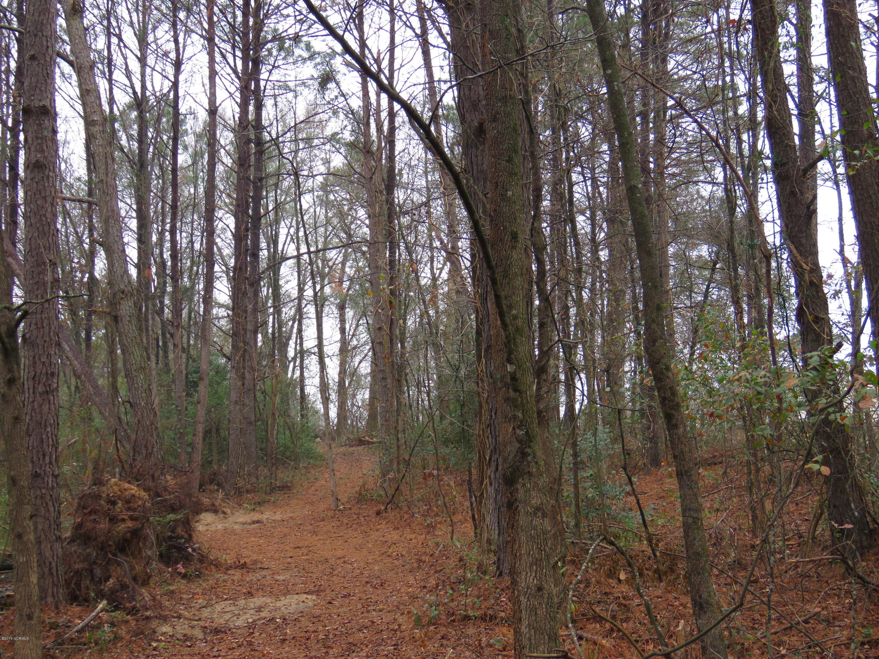 964 Beaverdam Road Clinton, NC 28328 - Photo 8 of 14 IMG_0017