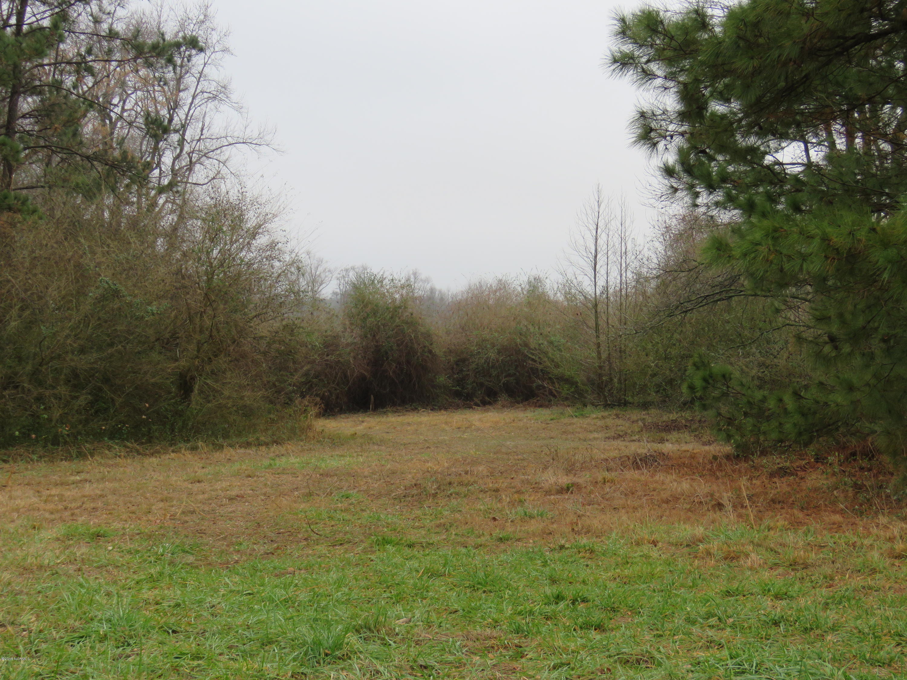 964 Beaverdam Road Clinton, NC 28328 - Photo 10 of 14 IMG_0019