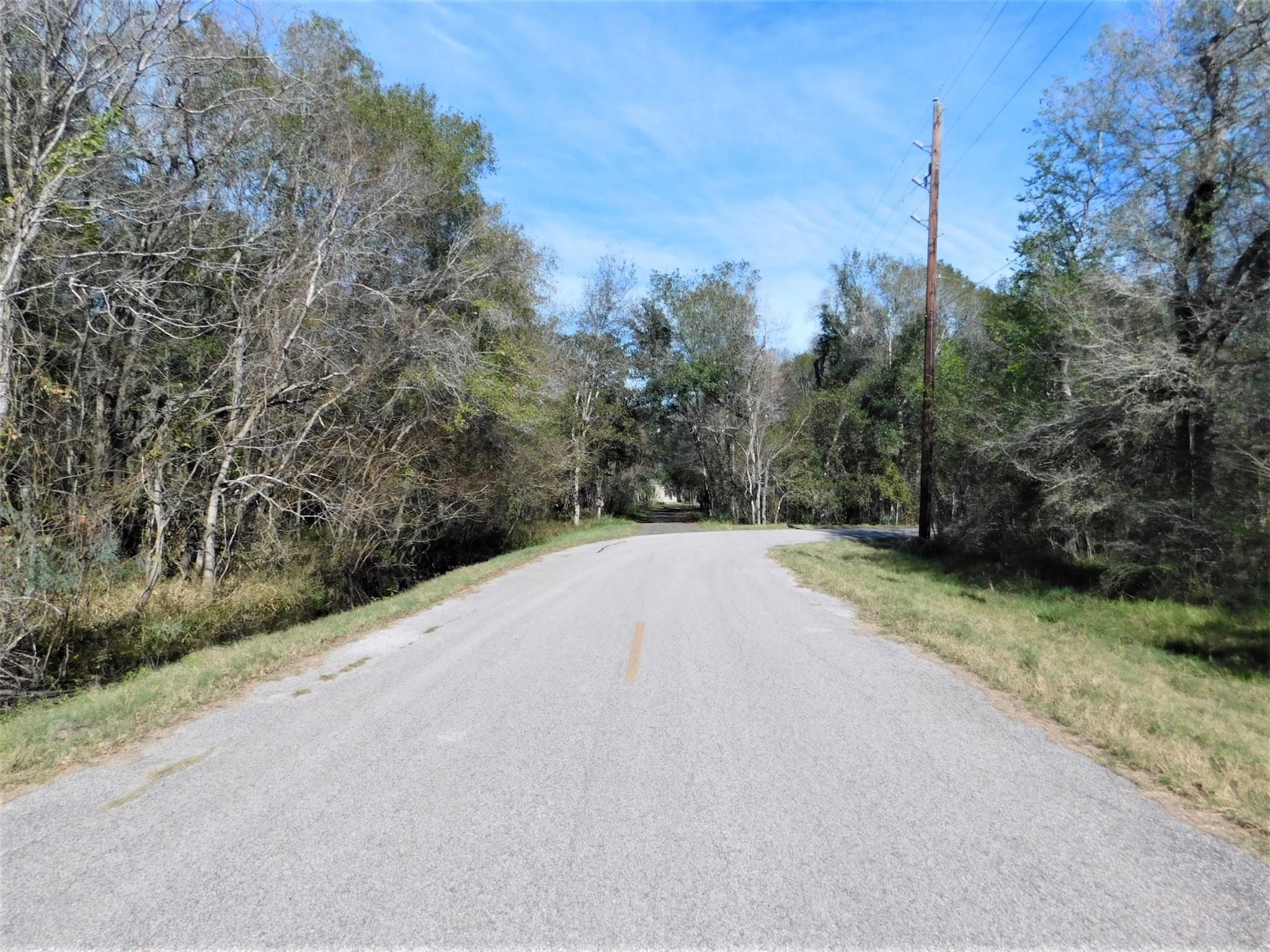 0 Brazos River Road Rosharon, TX 77583 - Photo 7 of 8 a view of a road with a trees