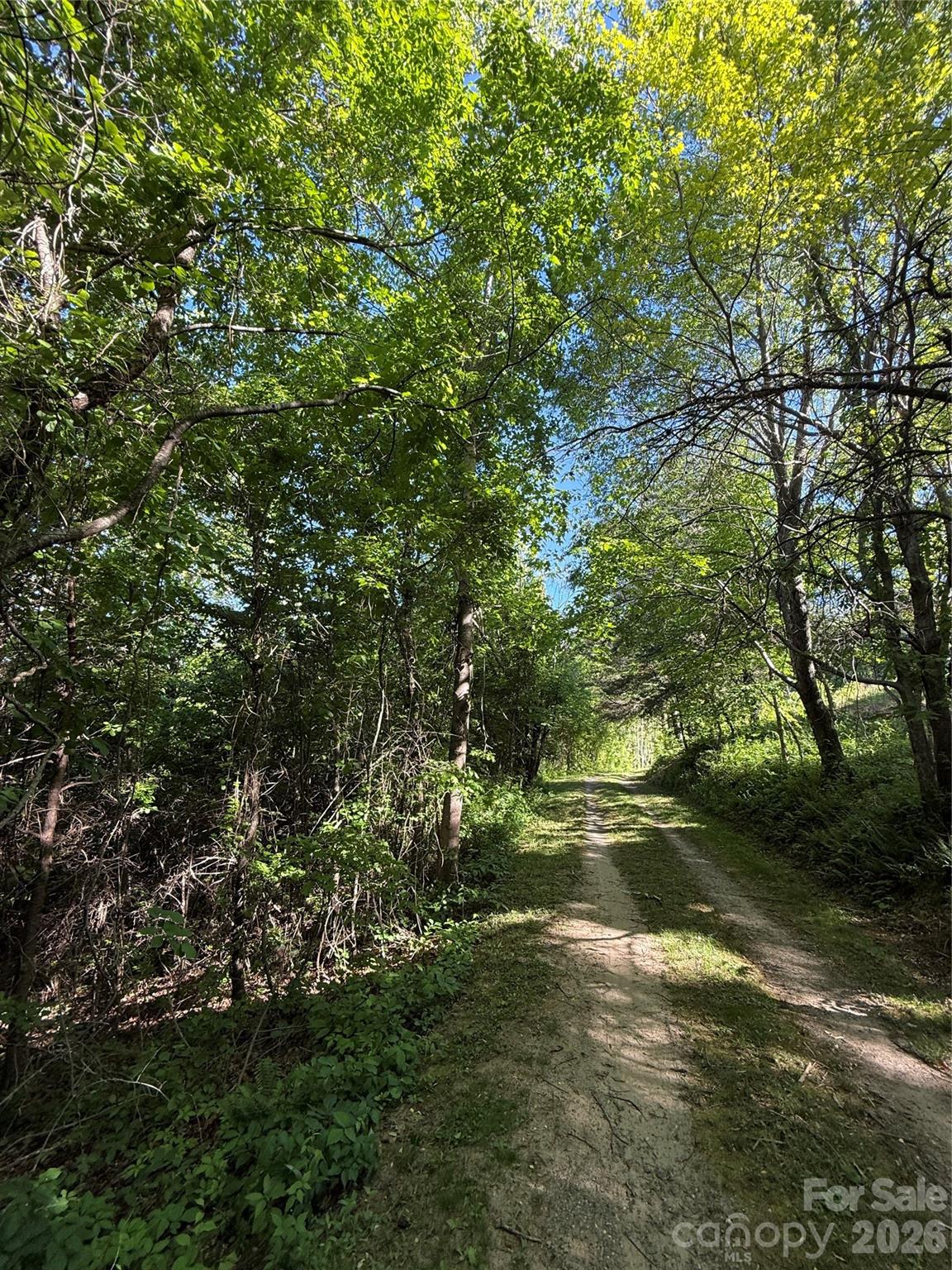 9999 Hunters Ridge Road Canton, NC 28716 - Photo 13 of 19