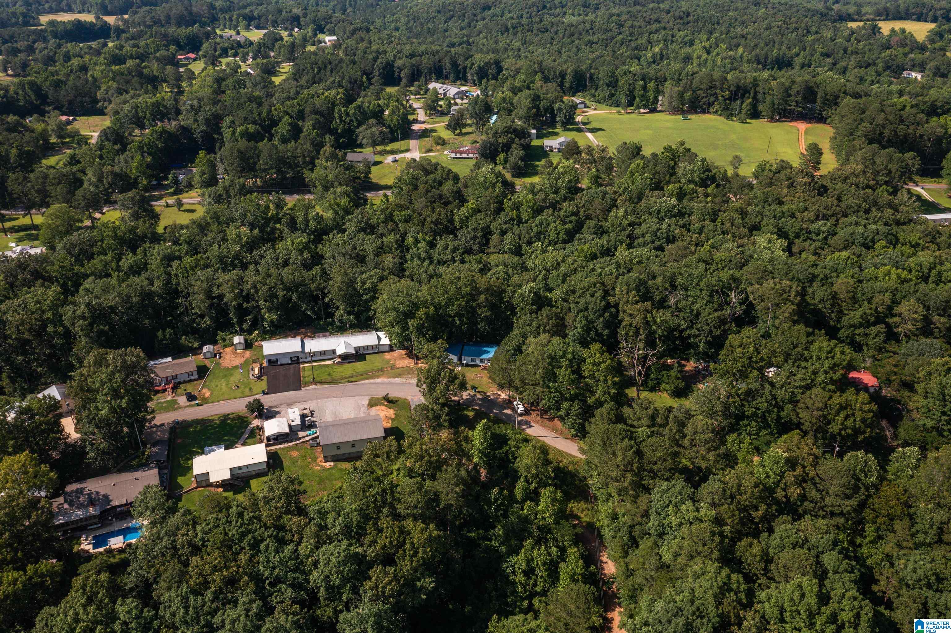 650 Davidson Drive Locust Fork, AL 35097 - Photo 50 of 55