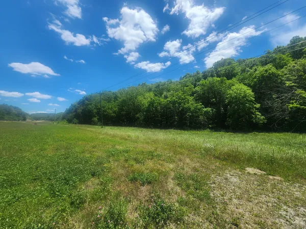 a view of a field with a tree in the background