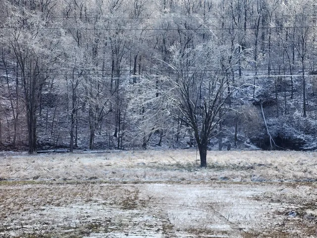 $224,000 | 0 Savannah Highway, Waynesboro, TN 38485