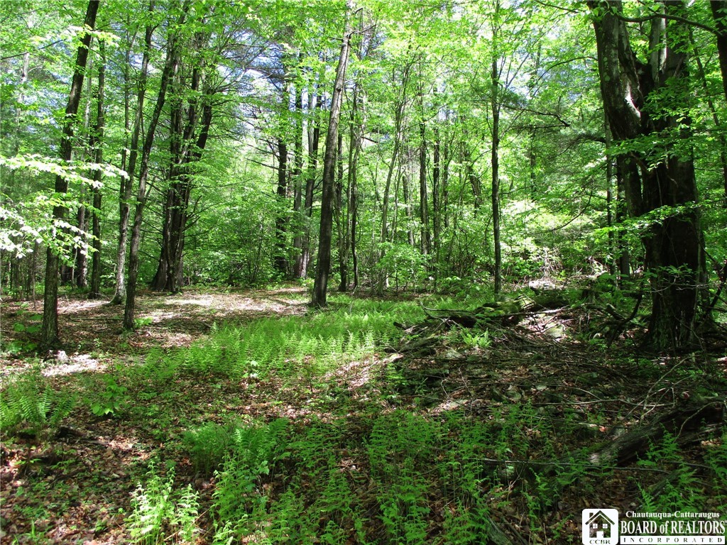 Yankee Road Cuba, NY 14727 - Photo 19 of 31