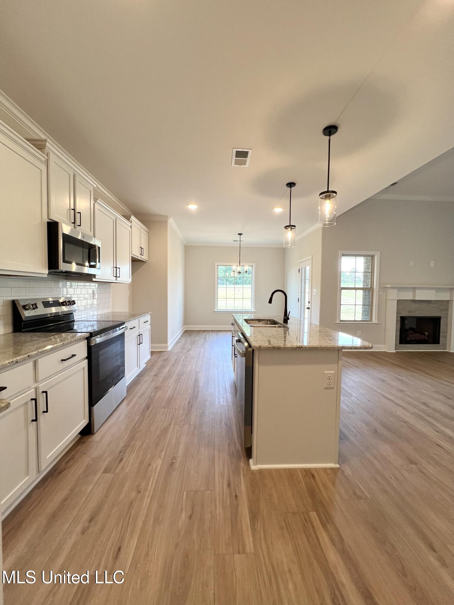 2473 Scott Mdws Lane Hernando, MS 38632 - Photo 7 of 22 IMG_3920