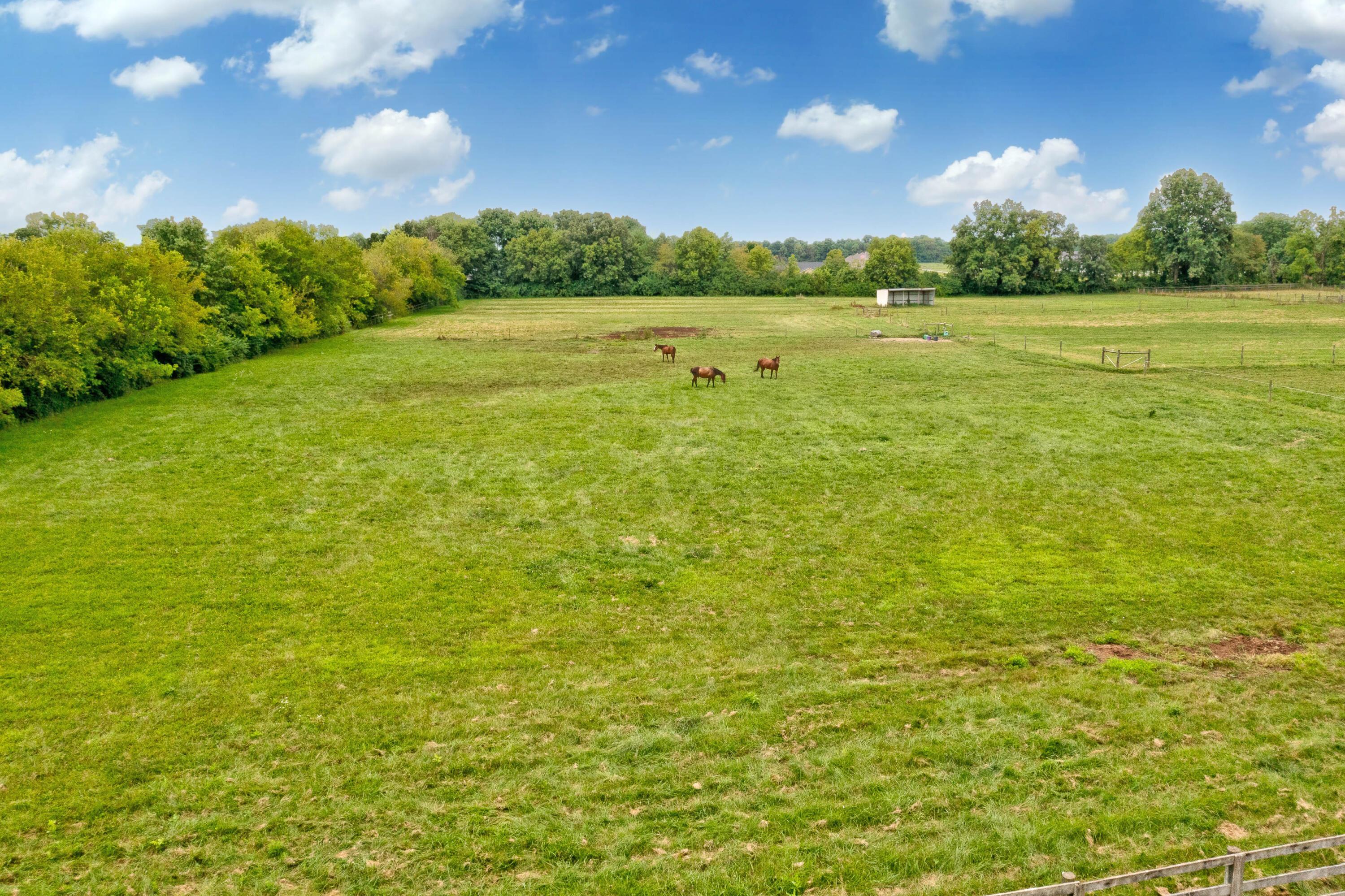 8558 Morris Road Hilliard, OH 43026 - Photo 56 of 74 56. Pasture