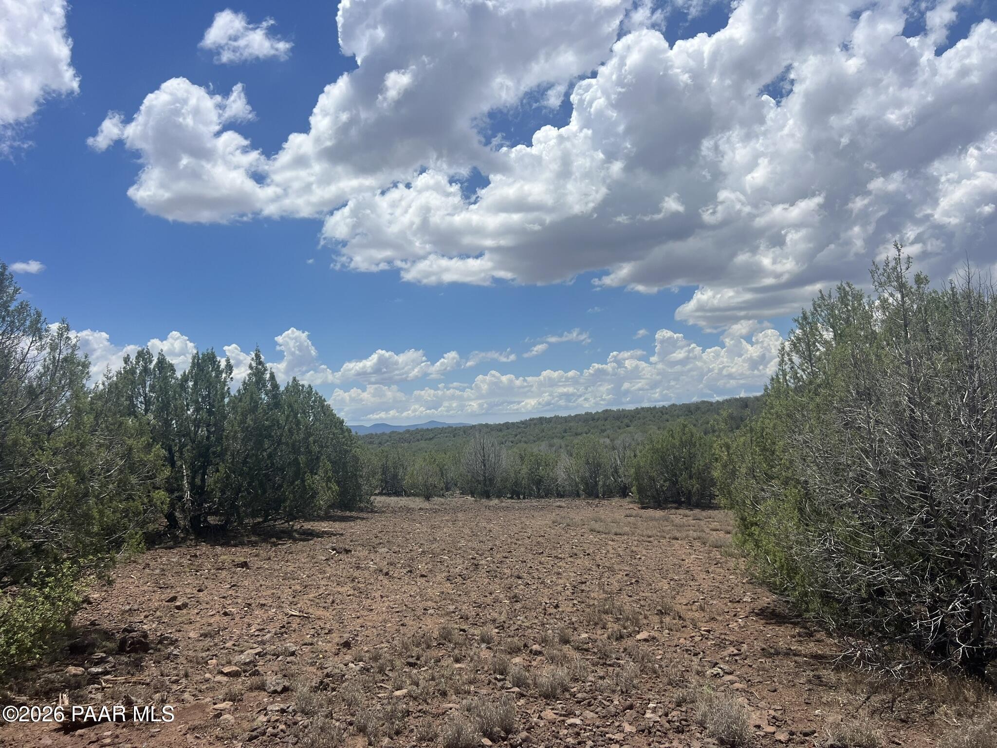 82 Mathis Road Ash Fork, AZ 86320 - Photo 13 of 17 IMG_0370