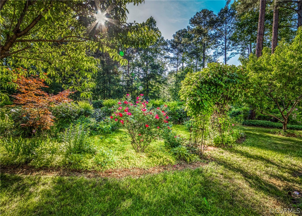 3089 Braehead Road Powhatan, VA 23139 - Photo 35 of 43 Gallery Image 35