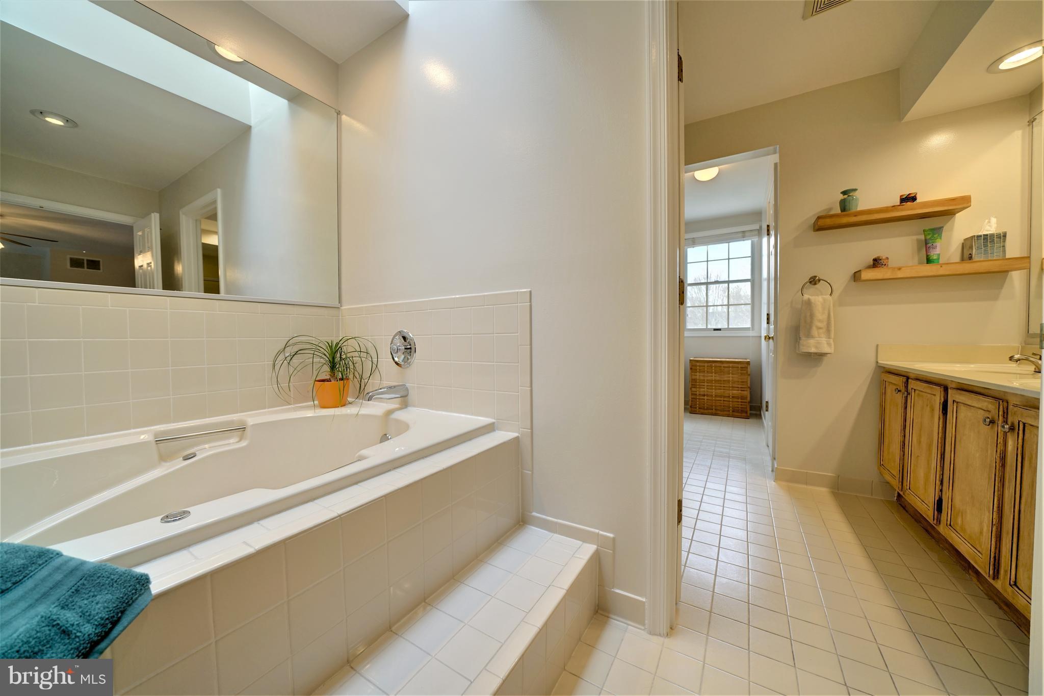 3169 Elmmede Road Ellicott City, MD 21042 - Photo 19 of 30 Bath (Master)