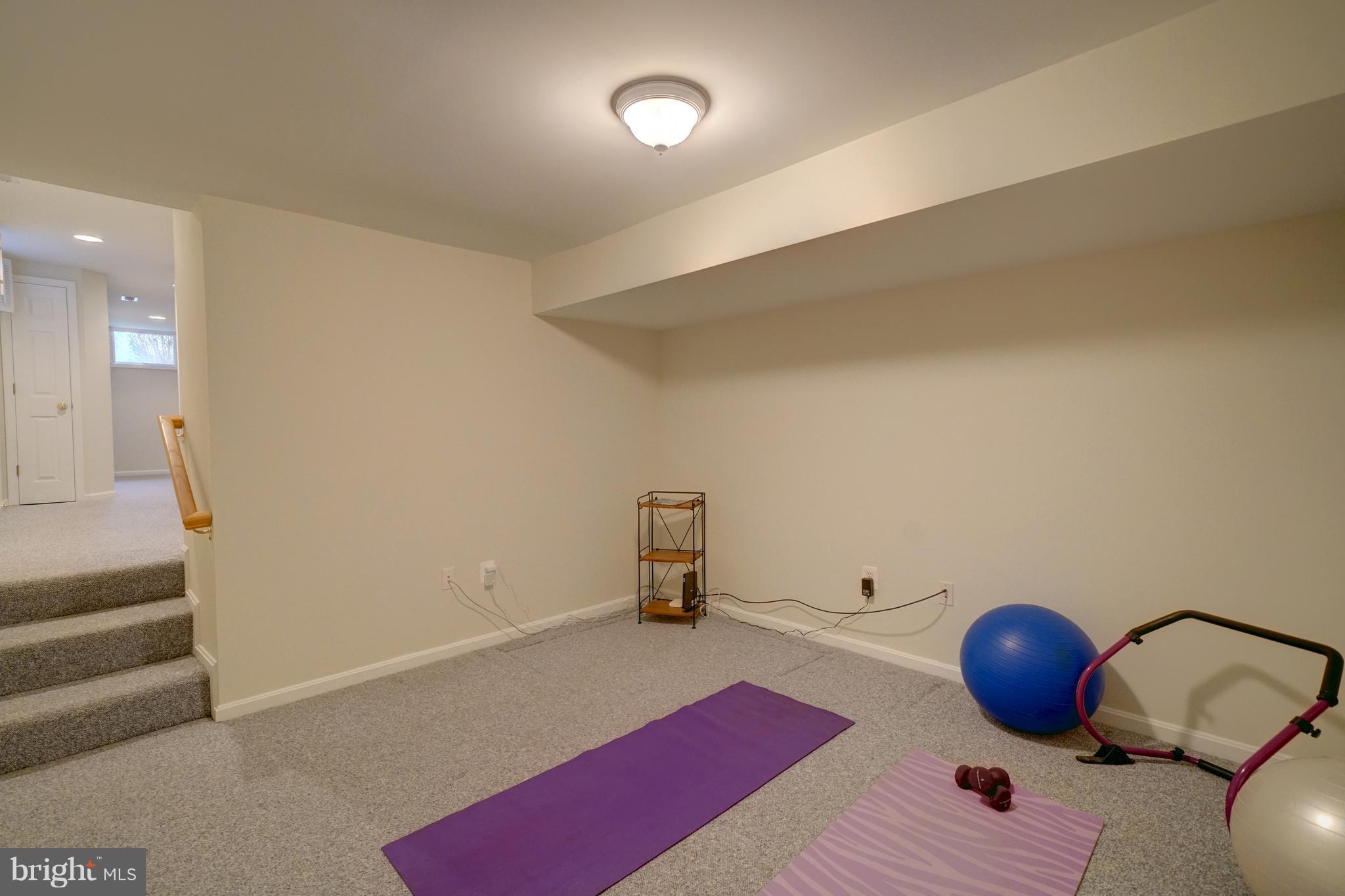 3169 Elmmede Road Ellicott City, MD 21042 - Photo 27 of 30 Basement