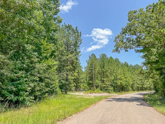 a view of a yard with yellow house