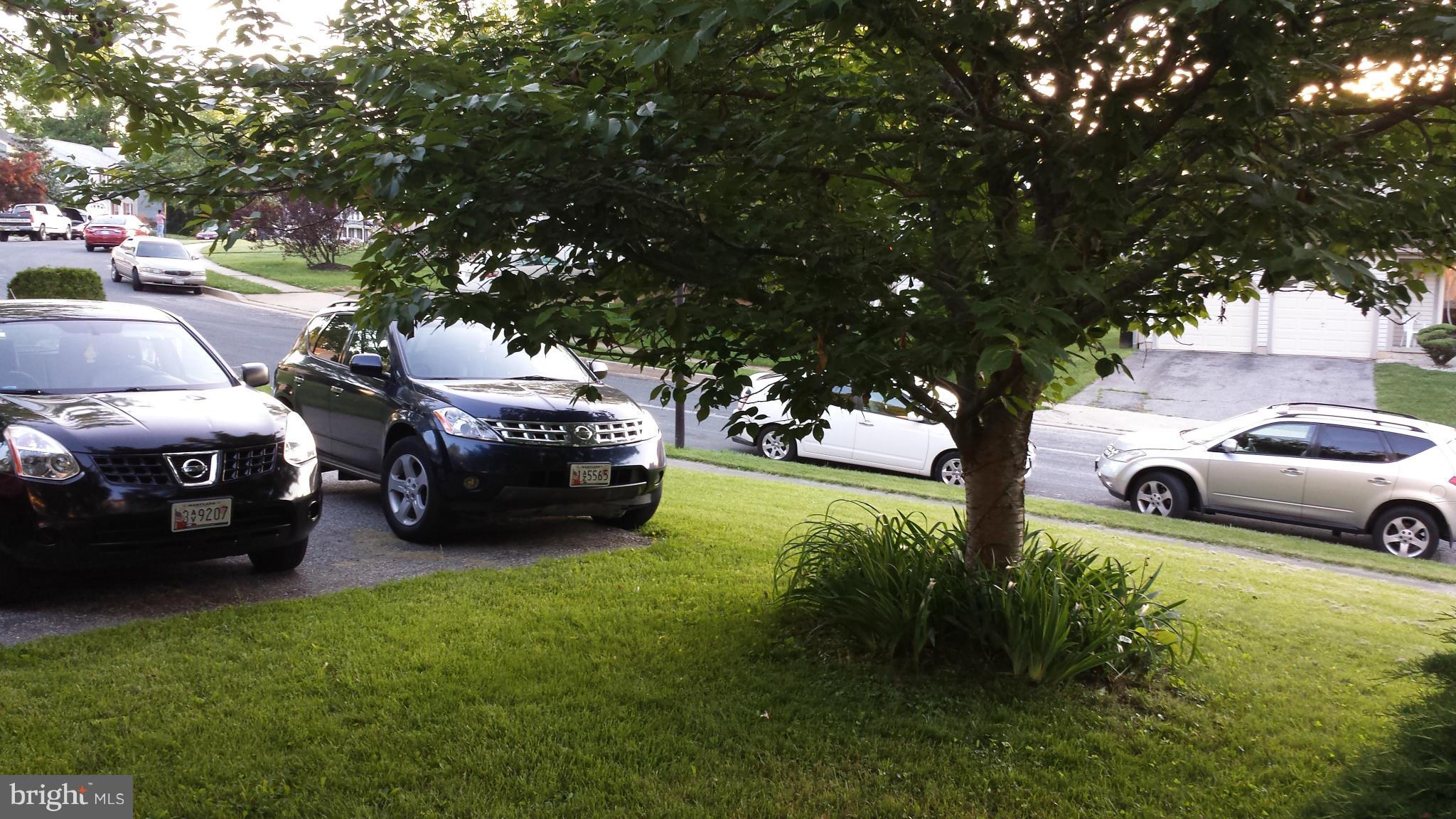 4607 Panacea Road Baltimore, MD 21208 - Photo 12 of 24 a view of a yard with car parked