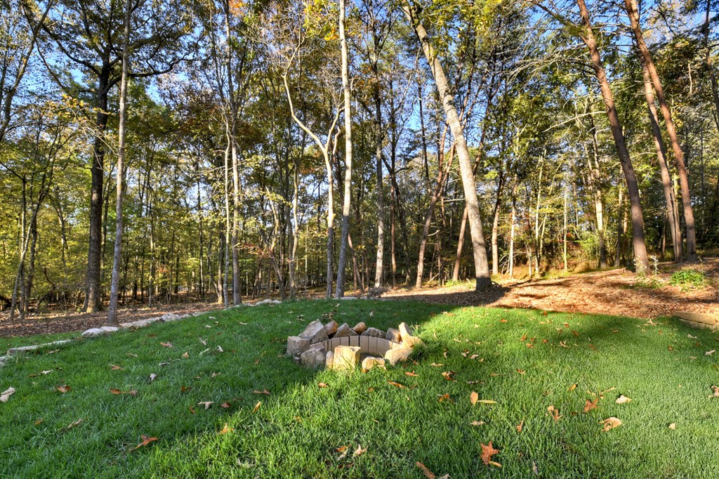 646 High Country Crossing Morganton, GA 30560 - Photo 11 of 44 a view of yard with swimming pool and green space