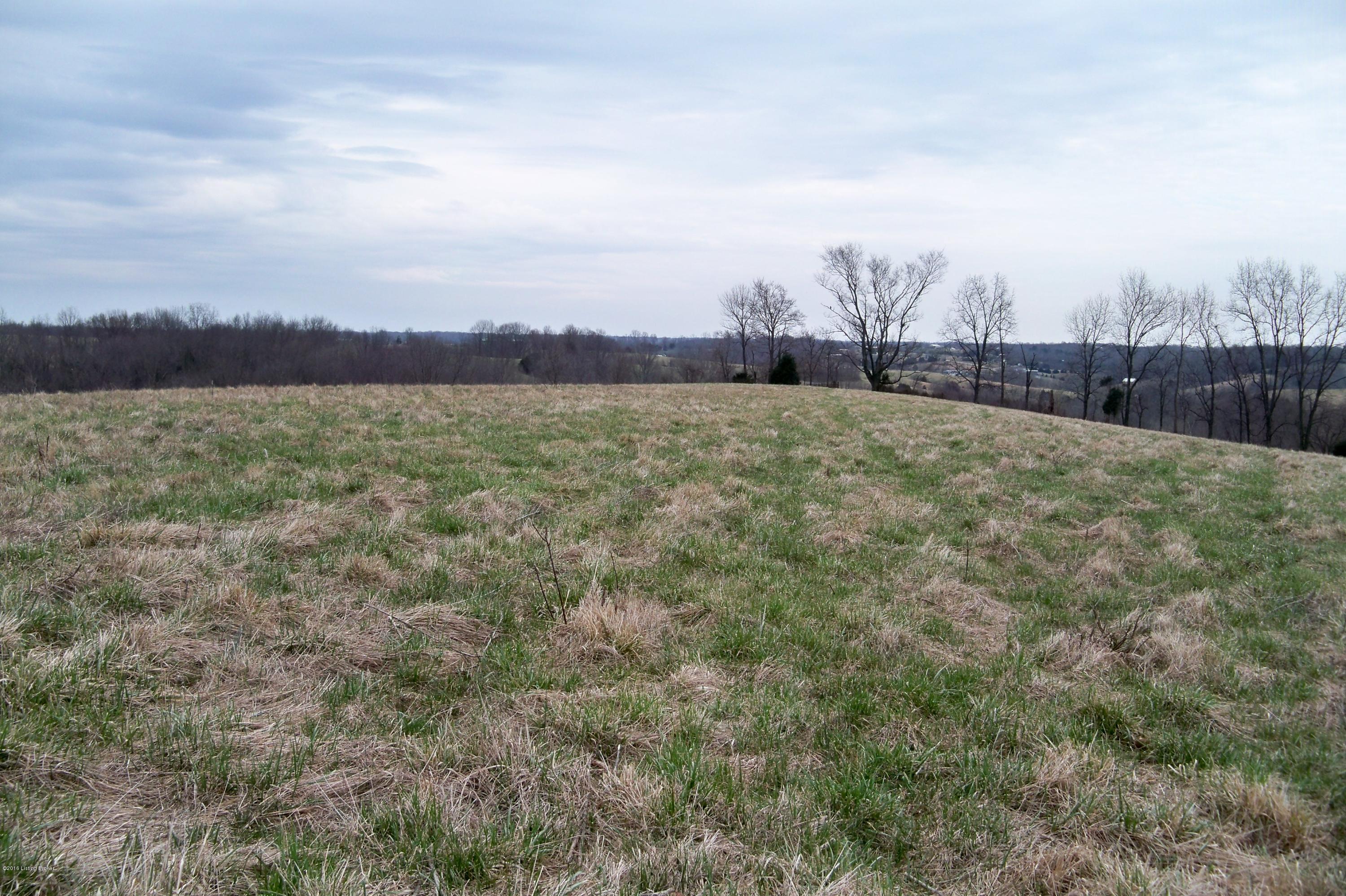 1795 Timber Creek Road Bloomfield, KY 40008 - Photo 12 of 20 100_4617