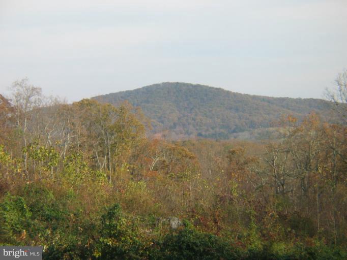 384 Aaron Mountain Road Castleton, VA 22716 - Photo 2 of 6 View