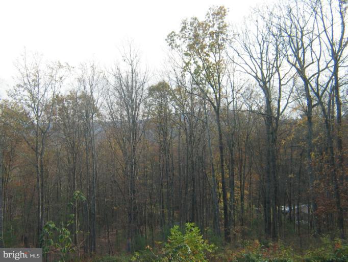 384 Aaron Mountain Road Castleton, VA 22716 - Photo 3 of 6 View