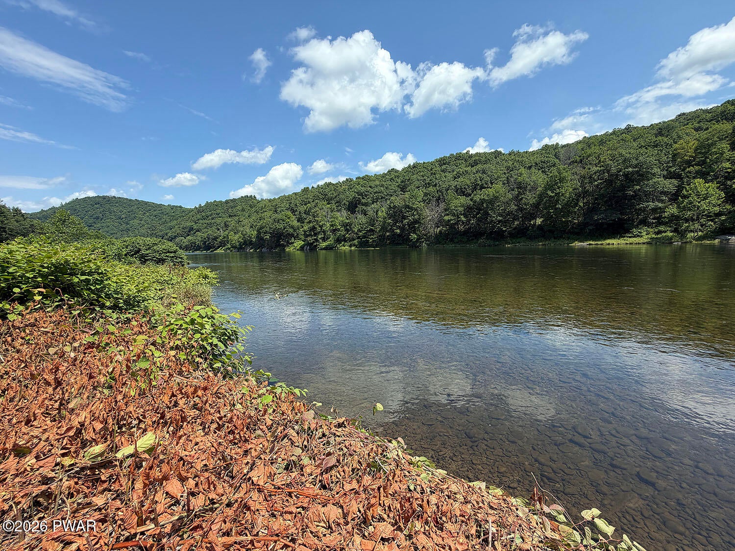 0 River Road Beach Lake, PA 18405 - Photo 9 of 24 Gallery Image 9