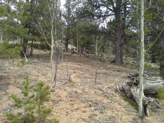 83 Appleby Street Bailey, CO 80421 - Photo 9 of 20 Gallery Image 9