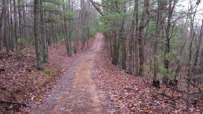 3475 Big Branch Road Riner, VA 24149 - Photo 1 of 12 a view of a yard with trees