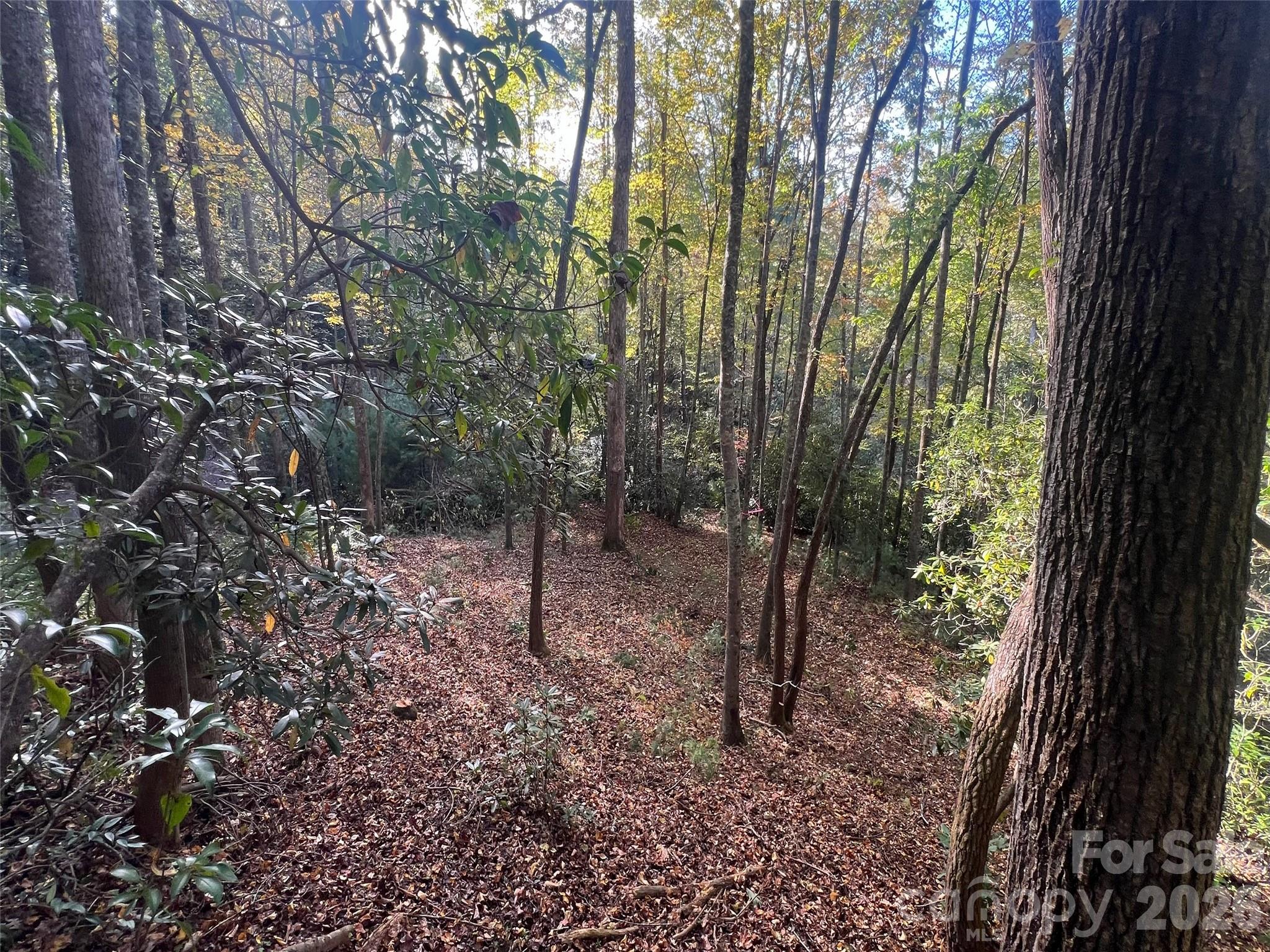 6 Dividing Ridge Trail, Unit 1 Arden, NC 28704 - Photo 4 of 18 a view of outdoor space and trees