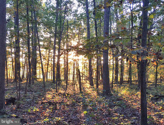 Springs Road Warrenton, VA 20186 - Photo 1 of 2 Gallery Image 1