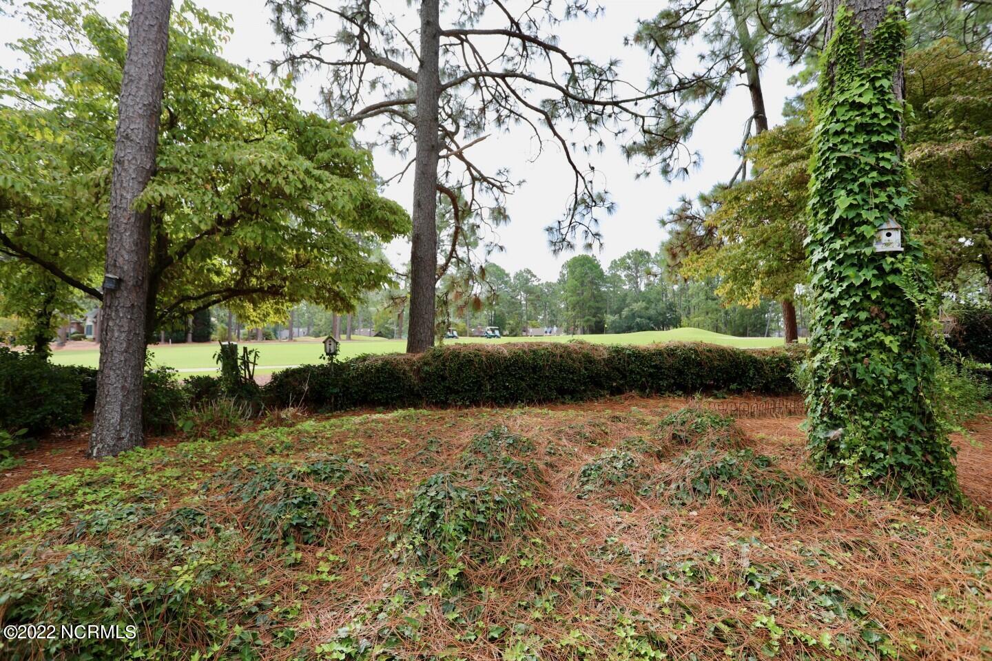 130 Thunderbird Lane Pinehurst, NC 28374 - Photo 47 of 52 16627386830051