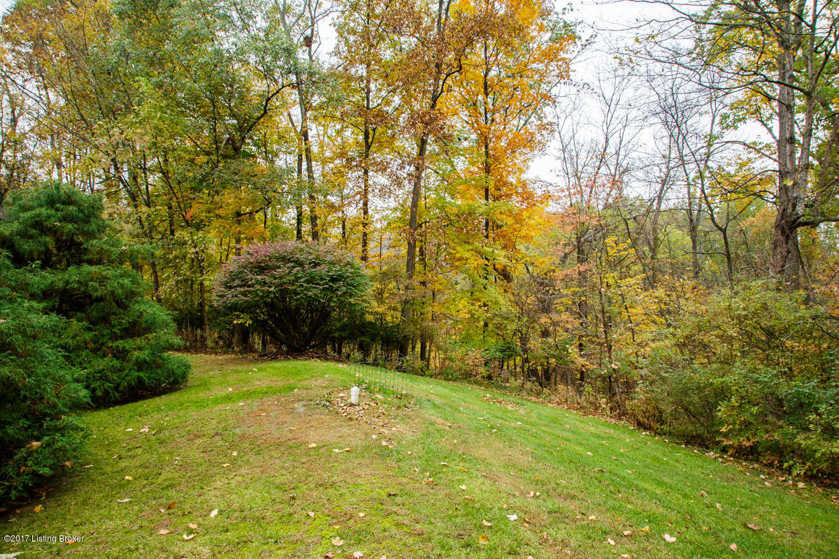 17609 Pope Dale Road Louisville, KY 40245 - Photo 38 of 72 17609 Popedale Rd-45
