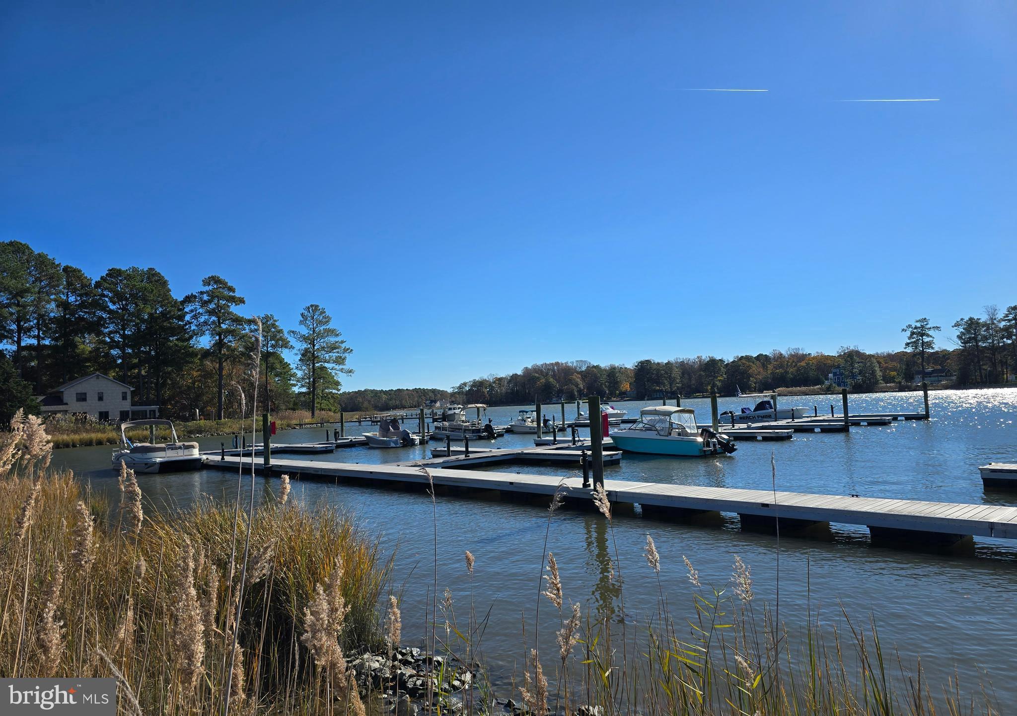 33500 Clover Street Lewes, DE 19958 - Photo 28 of 39 a view of a lake with boats and trees in the background