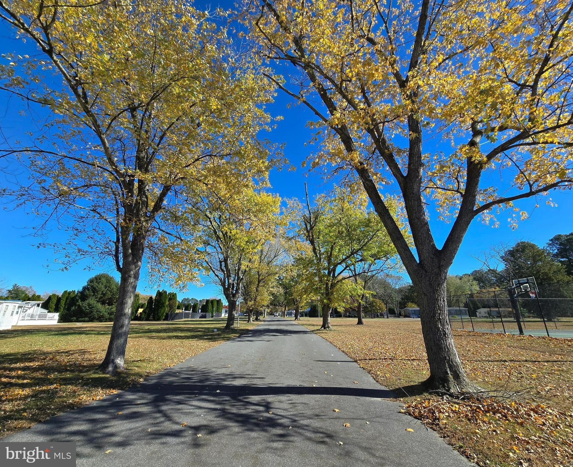 33500 Clover Street Lewes, DE 19958 - Photo 38 of 39 a view of a yard with plants and trees