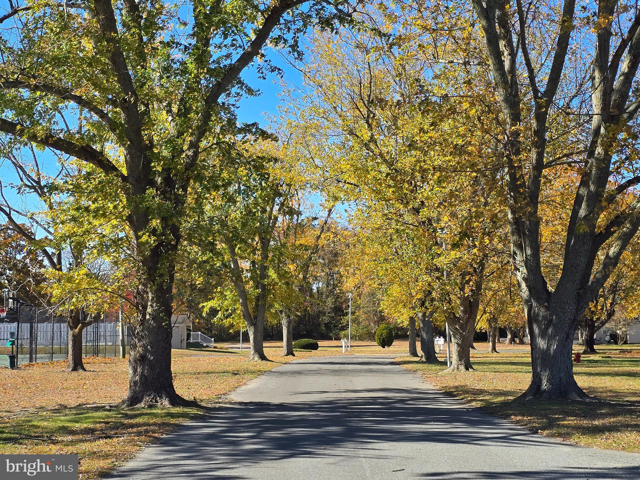 33500 Clover Street Lewes, DE 19958 - Photo 39 of 39 a view of a yard with large trees