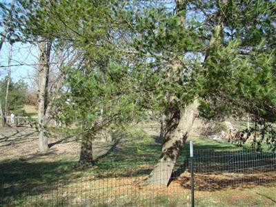 4923 Colby Road Winchester, KY 40391 - Photo 15 of 50 Photo 15