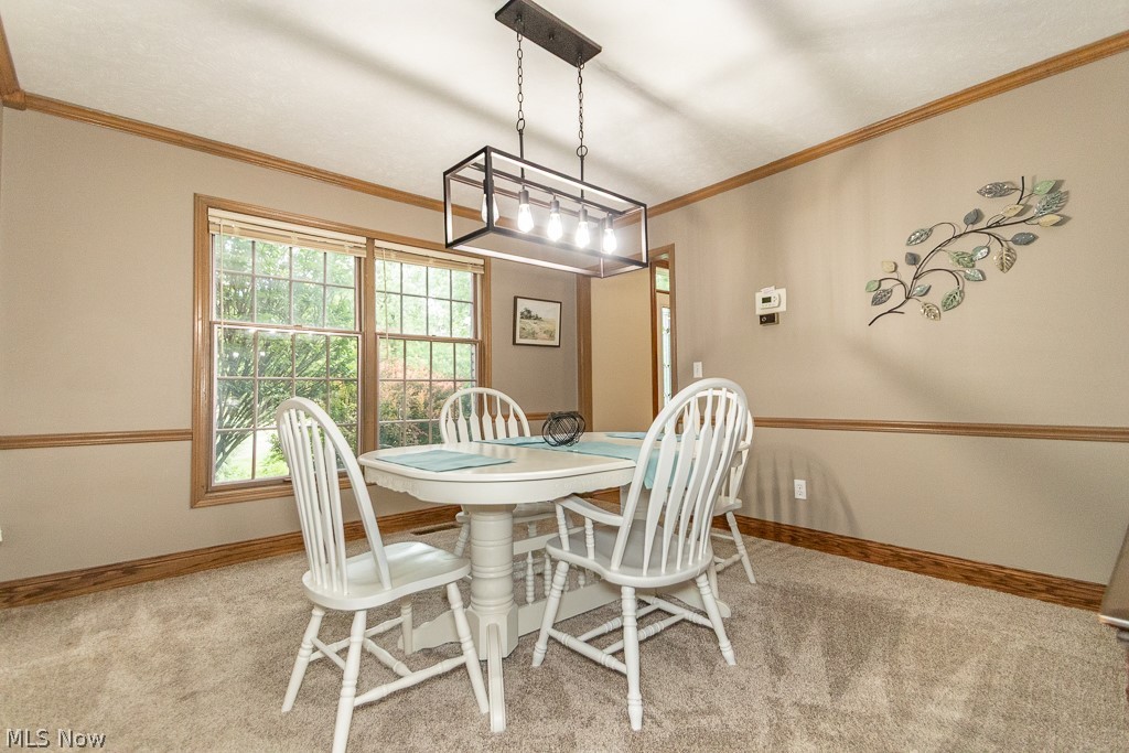 33245 Cannon Road Solon, OH 44139 - Photo 18 of 48 Gallery Image 18