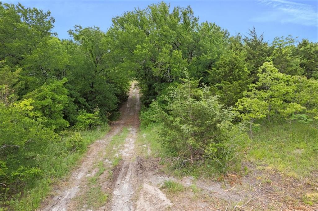 2337 Old Josephine Road Farmersville, TX 75442 - Photo 9 of 11 a view of a yard with plants and a bench under an umbrella
