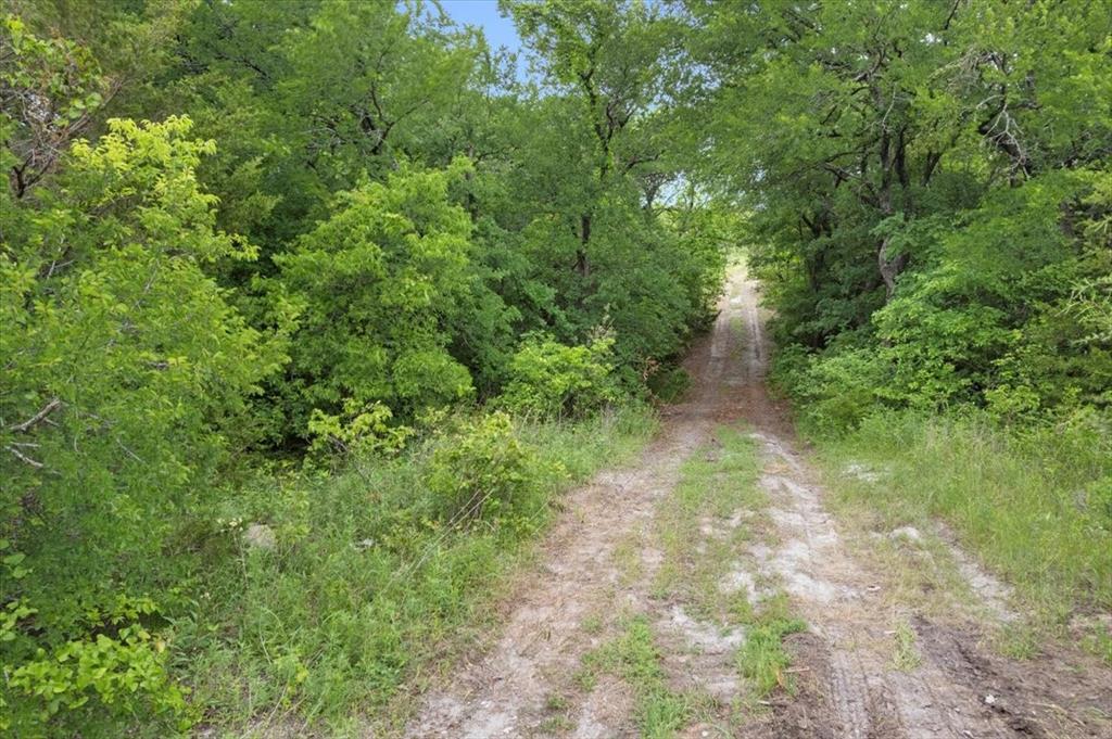2337 Old Josephine Road Farmersville, TX 75442 - Photo 10 of 11 a view of a yard with plants and a small yard