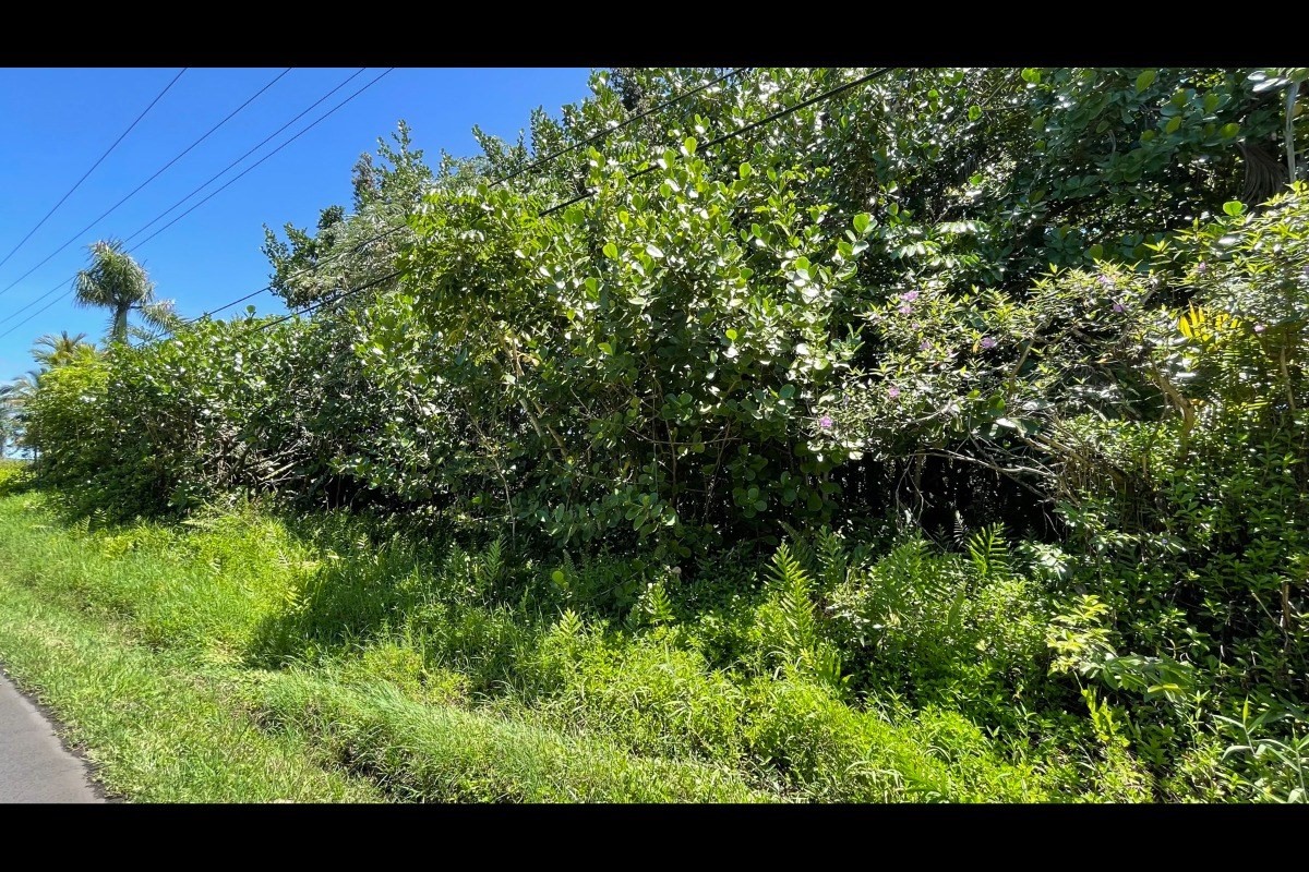 385 Beach Road Keaau, HI 96749 - Photo 18 of 20 Gallery Image 18