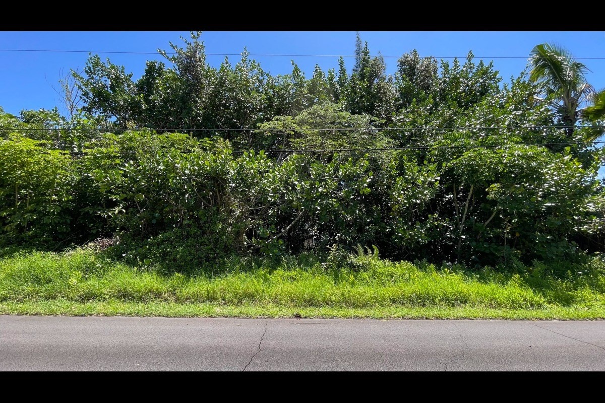 385 Beach Road Keaau, HI 96749 - Photo 8 of 20 Gallery Image 8