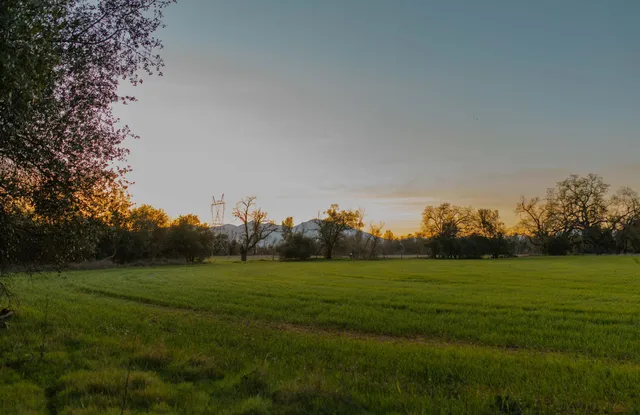 a view of a lake with houses in the background