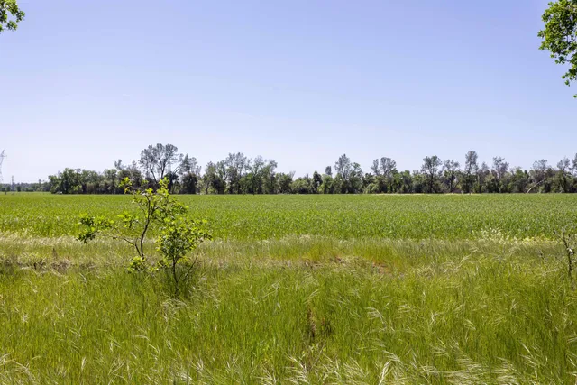 $1,200,000 | Churn Creek Road, Redding, CA 96002