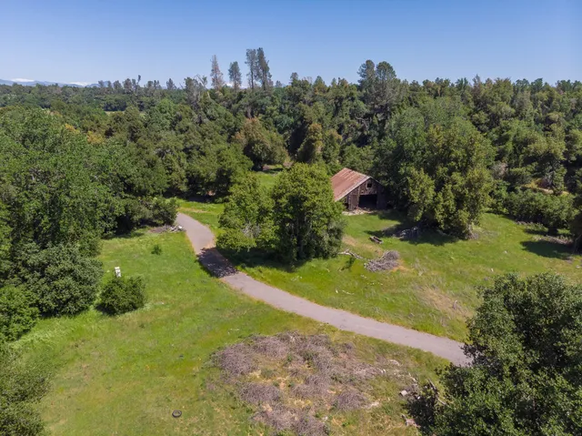 a view of a garden with a building in the background