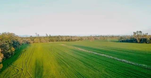 a view of an ocean from a beach