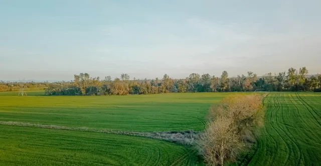 a view of an ocean from a city