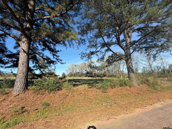 a view of dirt yard with a tree