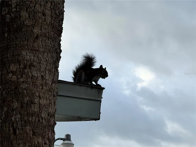 $99,000 | 1826 Sunny Drive, Unit D26, Bradenton, FL 34207